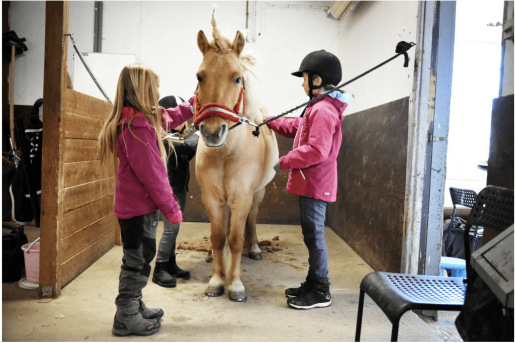 Barn pysslar om ponny på Gyttorps Ridklubb